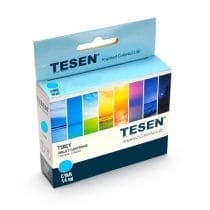Cartucho tesen epson 117 cyan