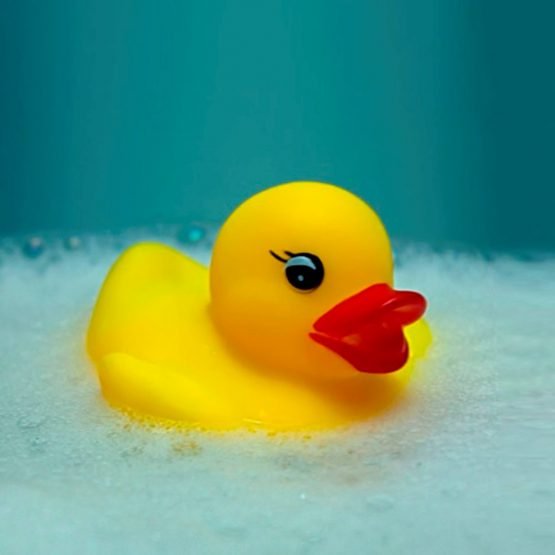 Animales de goma chifle patos x 4