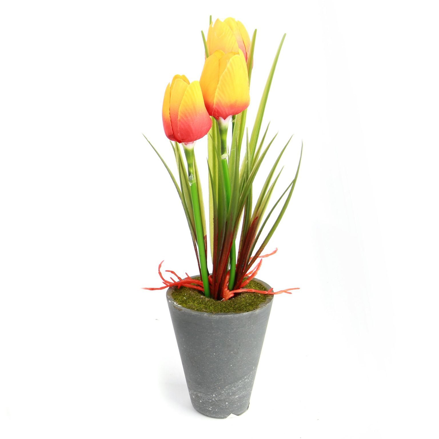 Planta c- 3 tulipanes maceta gris