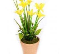 Planta c- 7 flores maceta marron