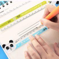 Regla de plástico e5