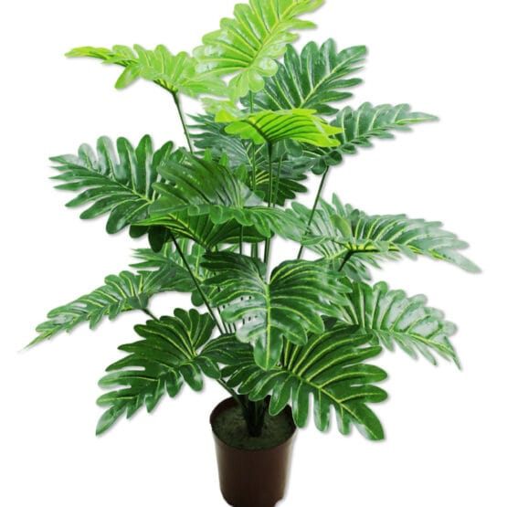 Planta aralia 18 hojas