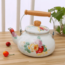 Caldera esmaltada 2.5l varios modelos