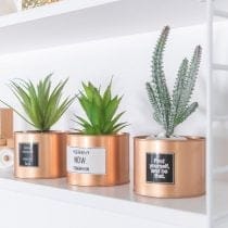 Plantita en maceta dorada chiquita