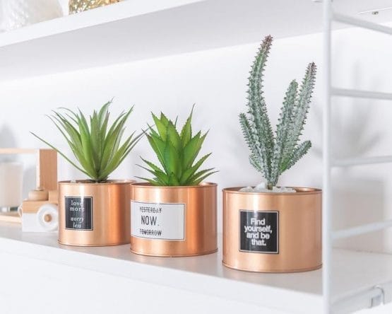 Plantita en maceta dorada chiquita