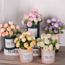 Rositas de colores en maceta chiquita