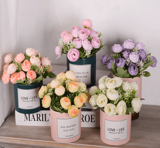 Rositas de colores en maceta chiquita