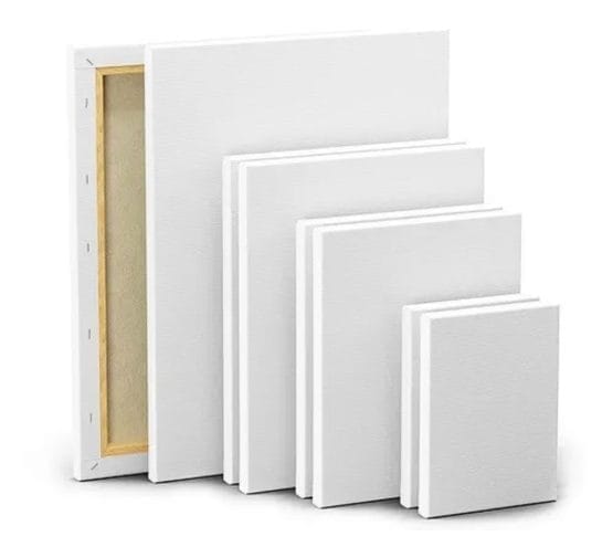 Bastidor da vinci 265grs 30×90