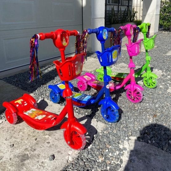 Monopatin con canasto