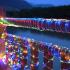 Luces led manguera 10 mts.