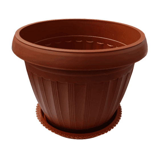 Maceta redonda ii decorada con plato