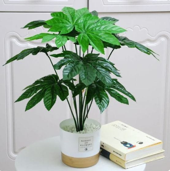 Planta artificial fatsia 40 cm