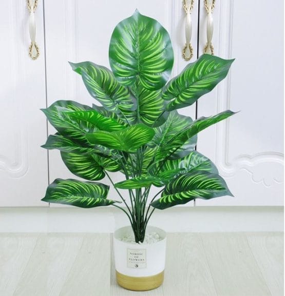 Planta artificial hoja de tortuga 60 cm