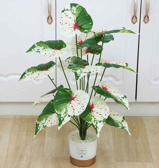 Planta artificial caladium 60 cm