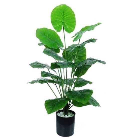 Planta artificial alocasia 60 cm maceta negra