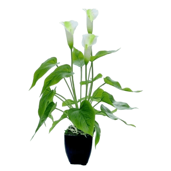 Planta artificial calas 40cm – 2 colores en maceta negra