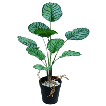 Planta artificial calathea 50 cm maceta negra