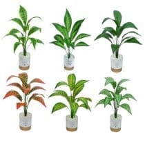 Planta artificial dieffenbachia 40 cm variedad de plantas