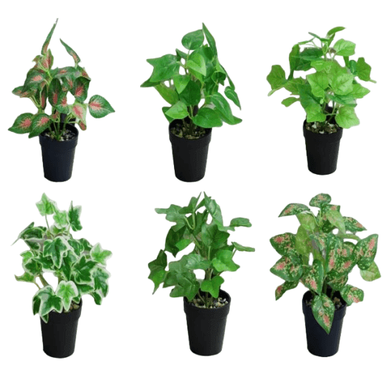 Planta artificial 24 cm maceta negra