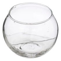 Pecera de vidrio 8×7.5cm