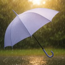 Paraguas largo 8 varillas liso