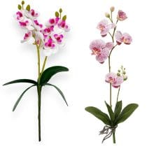 Orquidea 52cm