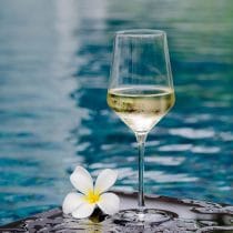 Copa de vidrio 420 ml