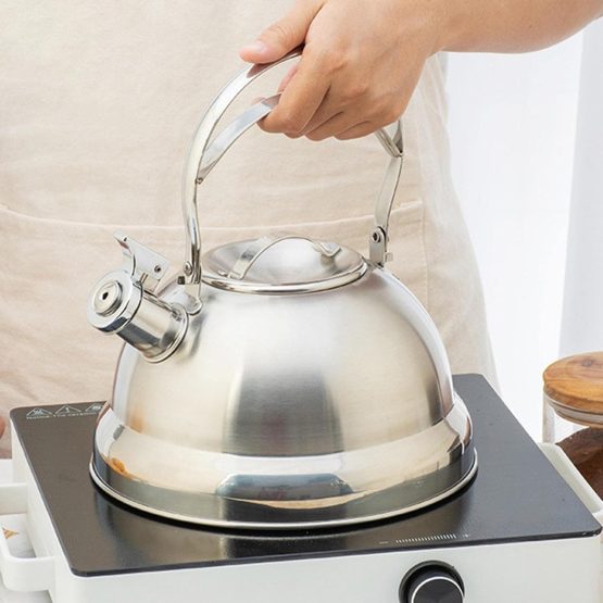 Caldera acero inoxidable 24×7.5 cm