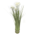 Planta decorativa pasto con flores 6x41 cm
