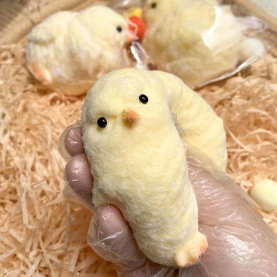 Amansaloco pollito