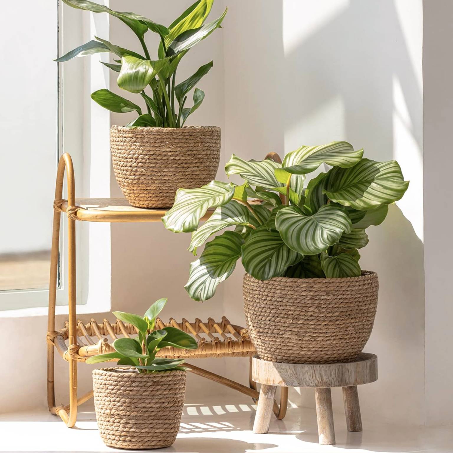 Cesto maceta/organizador yute mediano 14×22 cm