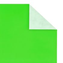 Papel afiche verde manzana