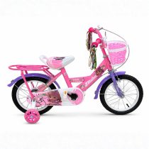 Bicicleta niña con canasto y parrilla R14