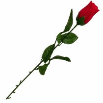 Pimpollo de rosa por unidad