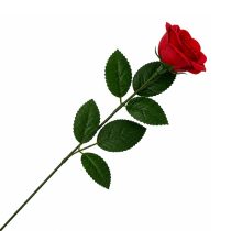 Rosa roja por unidad