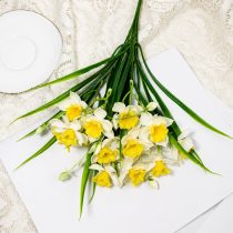 Ramo de narcisos x6