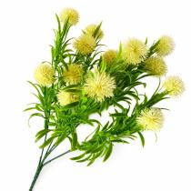 Follaje cardo con pasto