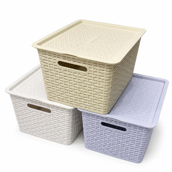 Organizador con tapa grande 30x37cm