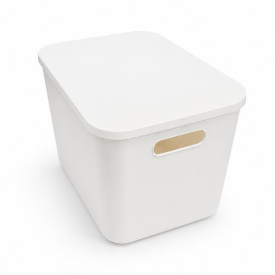 Organizador blanco con tapa grande 22x33cm